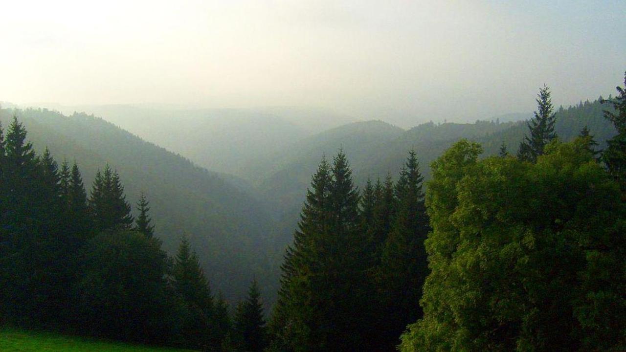 Schwarzwaldgasthaus Linde Schramberg Exterior foto