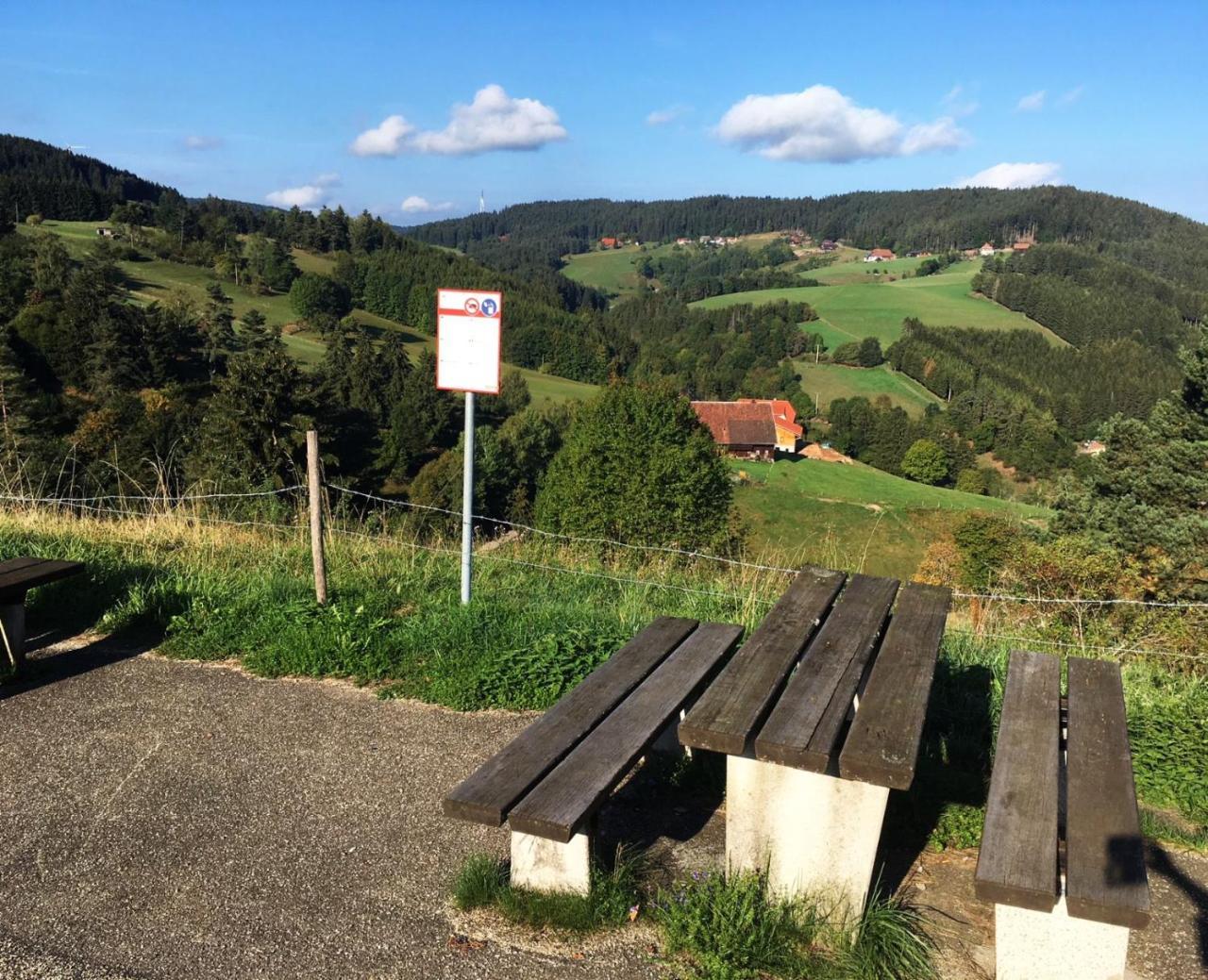 Schwarzwaldgasthaus Linde Schramberg Exterior foto